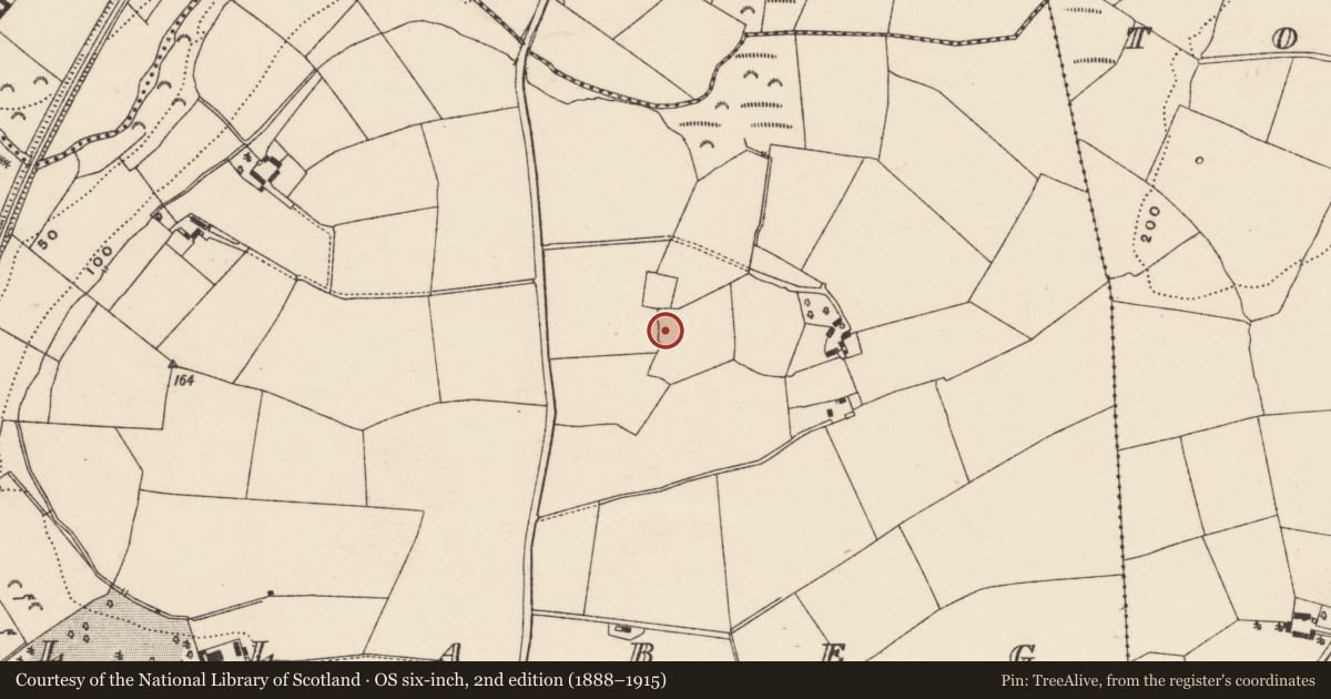 Ordnance Survey six-inch map, 2nd edition (1888–1915) covering the location of Burnt mound, Killabeg, County Wexford, with a pin at the register's coordinates