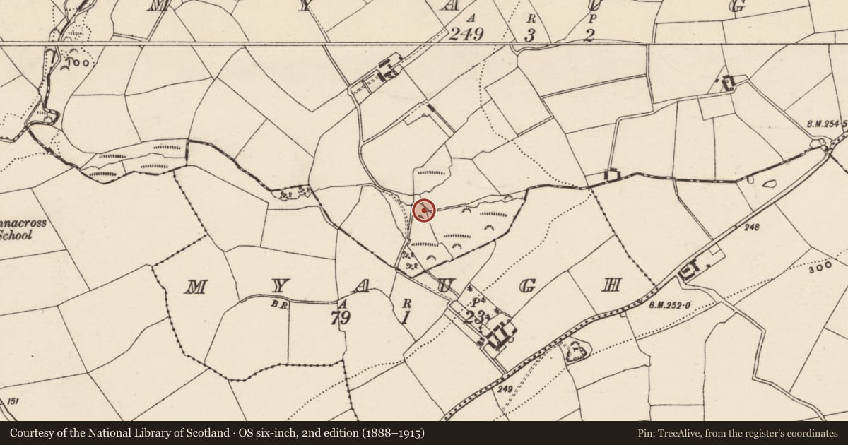 Ordnance Survey six-inch map, 2nd edition (1888–1915) covering the location of Ringfort - rath, Myaugh, County Wexford, with a pin at the register's coordinates