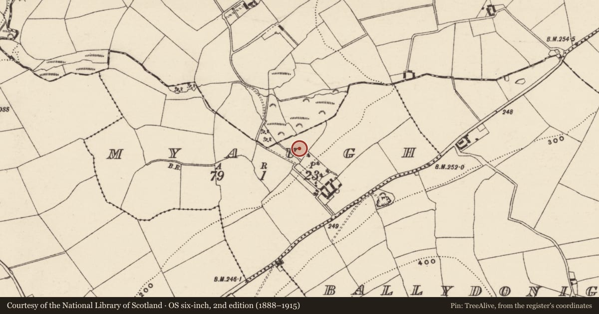 Ordnance Survey six-inch map, 2nd edition (1888–1915) covering the location of Burnt mound, Myaugh, County Wexford, with a pin at the register's coordinates