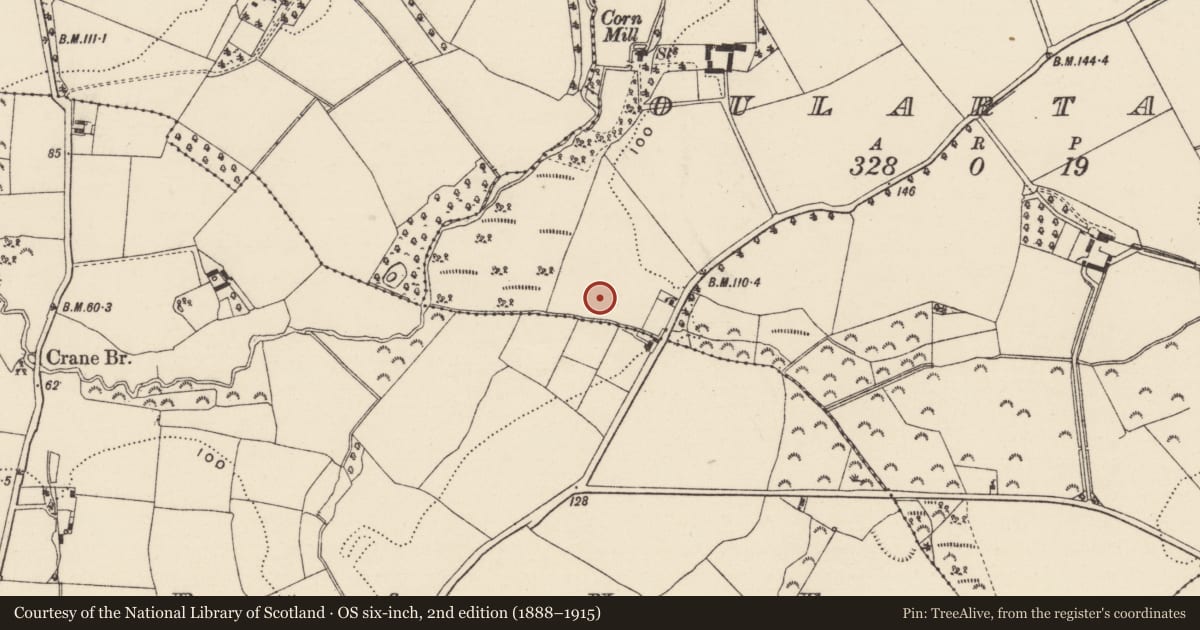 Ordnance Survey six-inch map, 2nd edition (1888–1915) covering the location of Burnt mound, Oulartard, County Wexford, with a pin at the register's coordinates