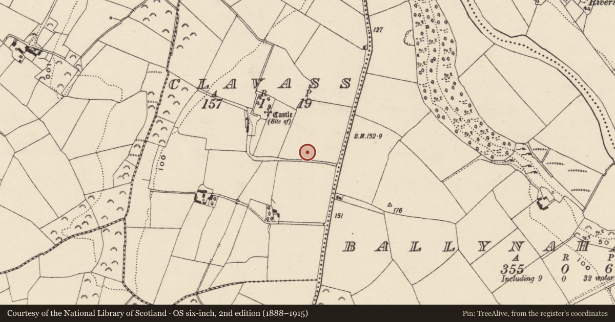 Ordnance Survey six-inch map, 2nd edition (1888–1915) covering the location of Ring-ditch, Clavass, County Wexford, with a pin at the register's coordinates