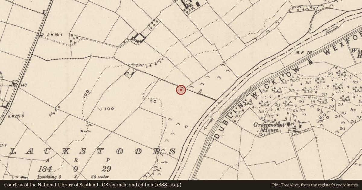 Ordnance Survey six-inch map, 2nd edition (1888–1915) covering the location of Ringfort - rath, Blackstoops, County Wexford, with a pin at the register's coordinates