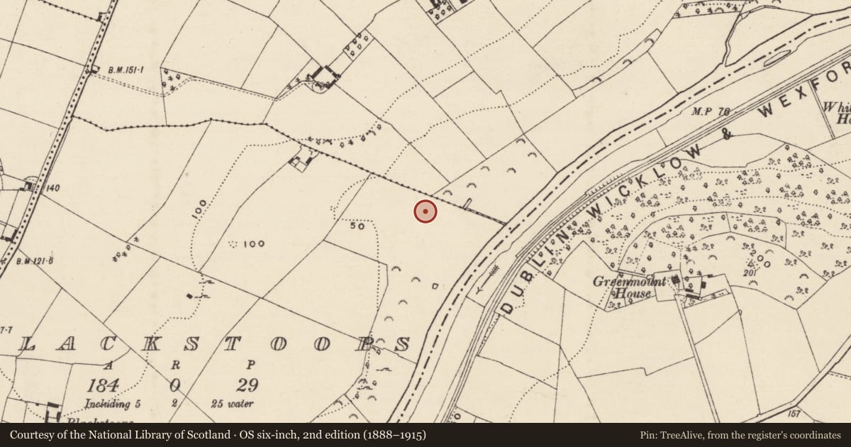 Ordnance Survey six-inch map, 2nd edition (1888–1915) covering the location of Enclosure, Blackstoops, County Wexford, with a pin at the register's coordinates