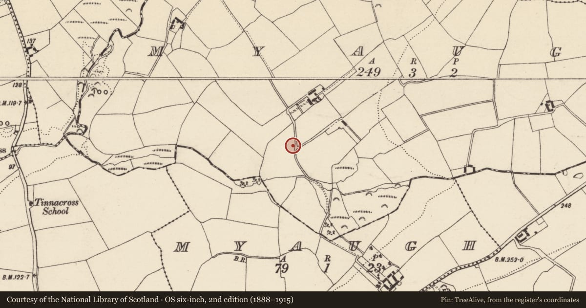 Ordnance Survey six-inch map, 2nd edition (1888–1915) covering the location of Moated site, Myaugh, County Wexford, with a pin at the register's coordinates