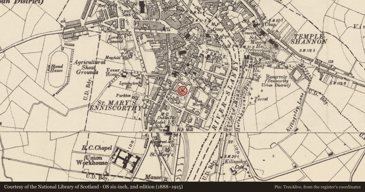 Ordnance Survey six-inch map, 2nd edition (1888–1915) covering the location of Architectural feature, Enniscorthy, County Wexford, with a pin at the register's coordinates