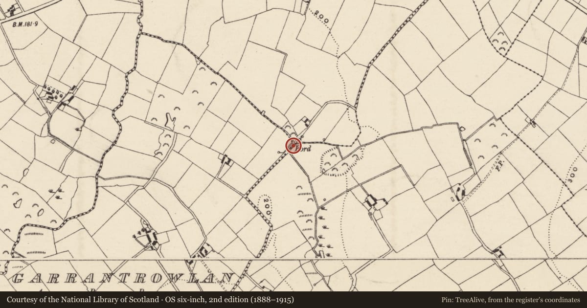 Ordnance Survey six-inch map, 2nd edition (1888–1915) covering the location of Rock scribing - folk art, Garrymile, County Wexford, with a pin at the register's coordinates