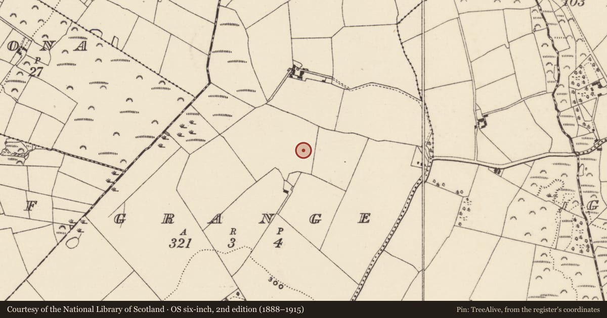 Ordnance Survey six-inch map, 2nd edition (1888–1915) covering the location of Ringfort - rath, Grange, County Wexford, with a pin at the register's coordinates