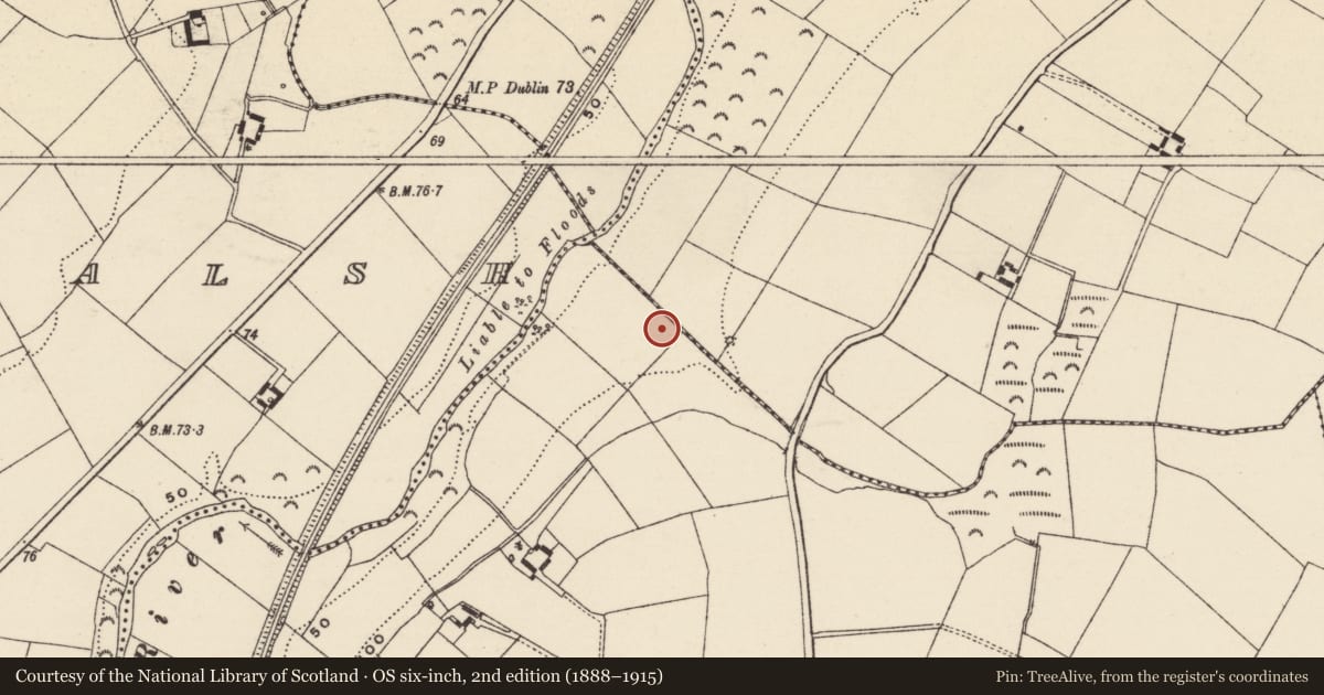 Ordnance Survey six-inch map, 2nd edition (1888–1915) covering the location of Ringfort - rath, Killabeg, County Wexford, with a pin at the register's coordinates