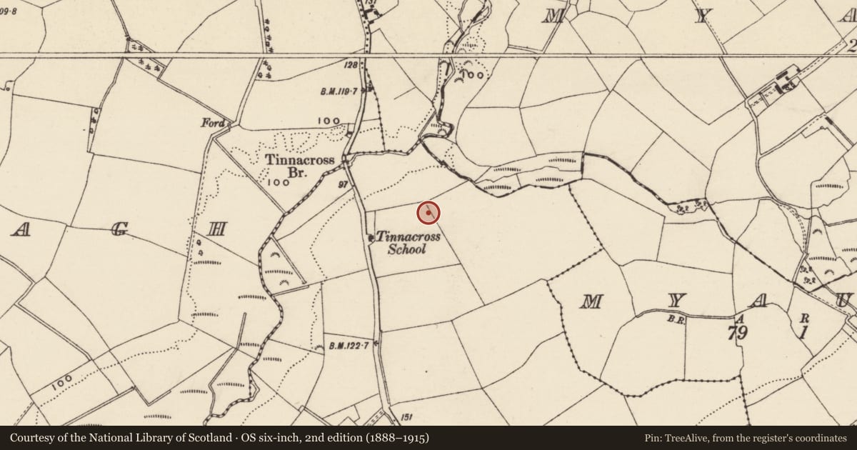 Ordnance Survey six-inch map, 2nd edition (1888–1915) covering the location of Burnt spread, Tinnacross, County Wexford, with a pin at the register's coordinates