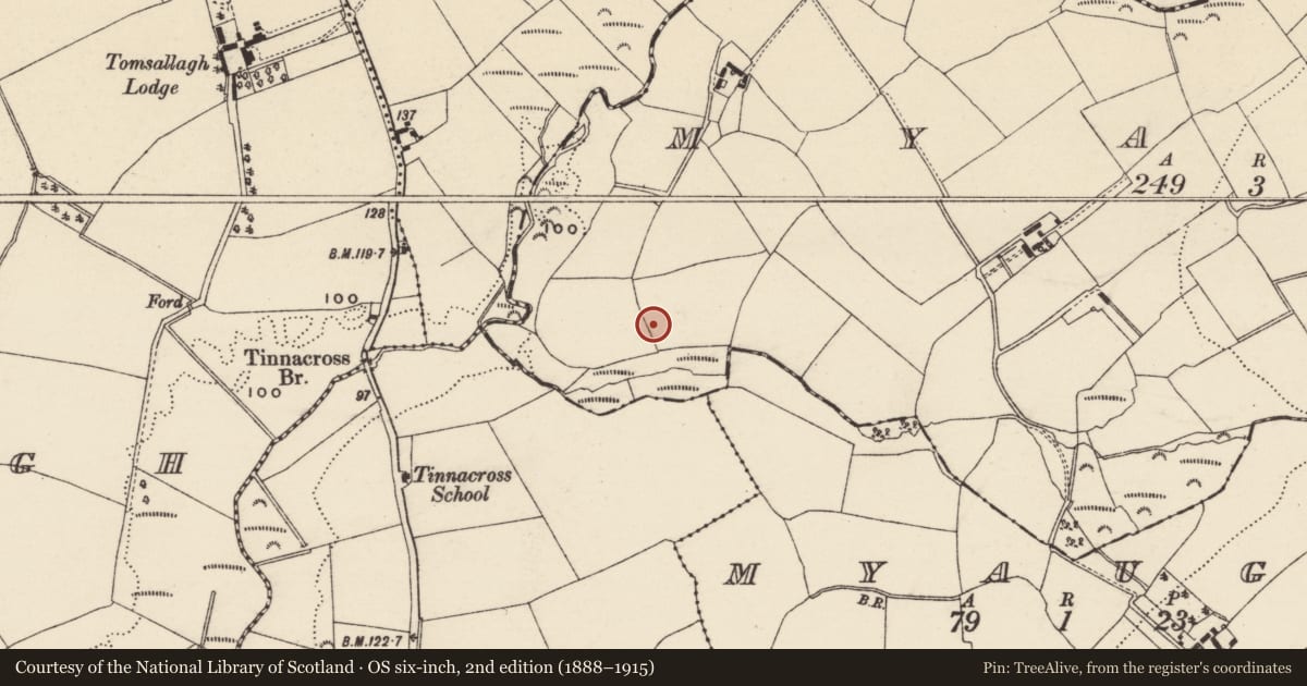 Ordnance Survey six-inch map, 2nd edition (1888–1915) covering the location of Excavation - miscellaneous, Myaugh, County Wexford, with a pin at the register's coordinates