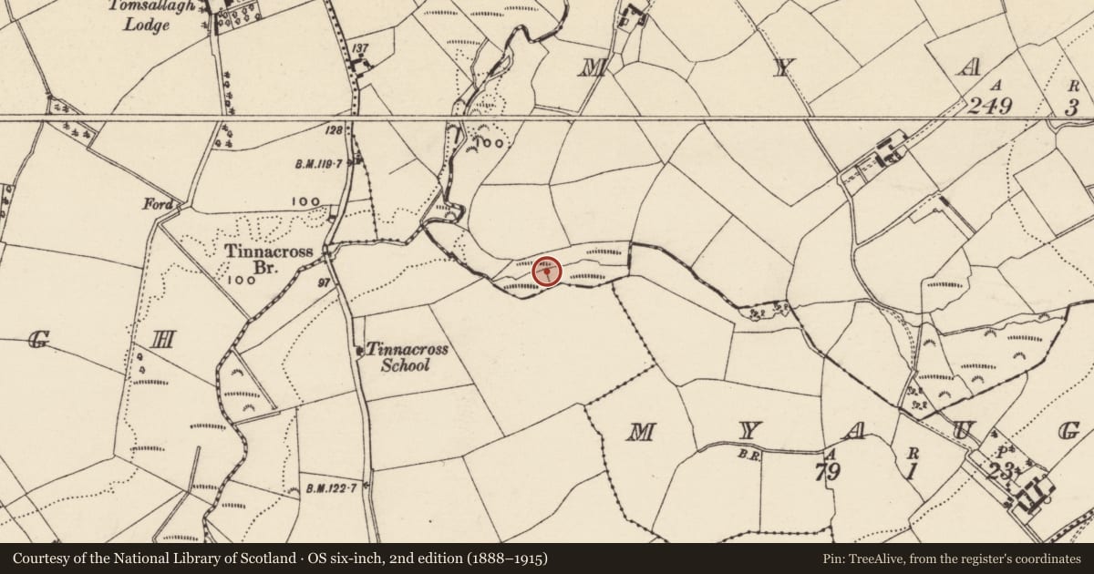 Ordnance Survey six-inch map, 2nd edition (1888–1915) covering the location of Burnt mound, Myaugh, County Wexford, with a pin at the register's coordinates