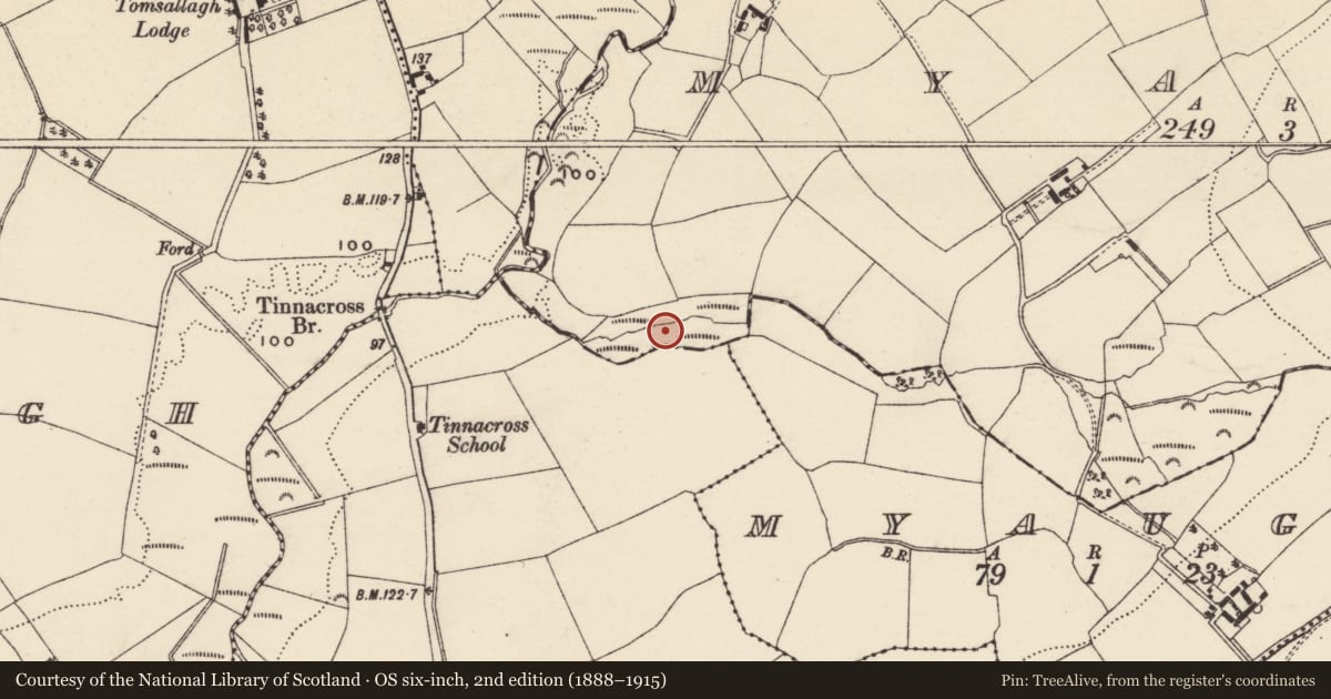 Ordnance Survey six-inch map, 2nd edition (1888–1915) covering the location of Burnt mound, Myaugh, County Wexford, with a pin at the register's coordinates