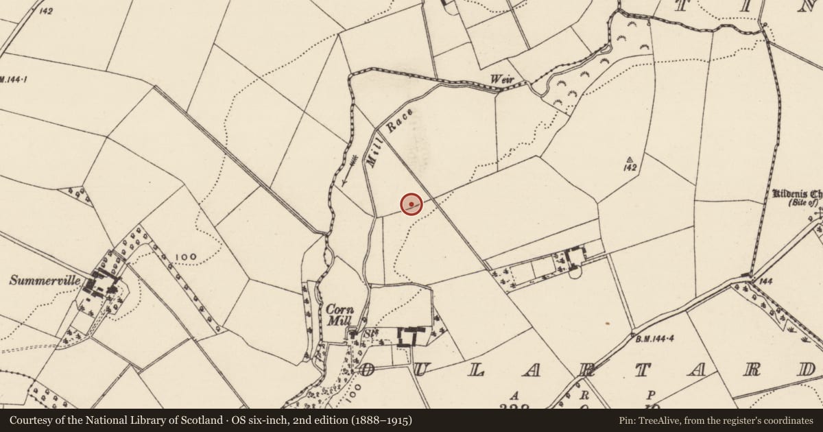 Ordnance Survey six-inch map, 2nd edition (1888–1915) covering the location of Excavation - miscellaneous, Oulartard, County Wexford, with a pin at the register's coordinates
