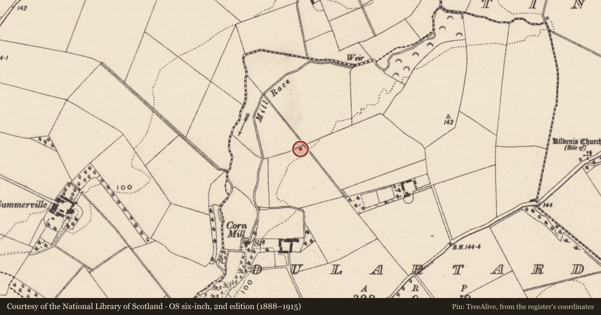 Ordnance Survey six-inch map, 2nd edition (1888–1915) covering the location of Excavation - miscellaneous, Oulartard, County Wexford, with a pin at the register's coordinates