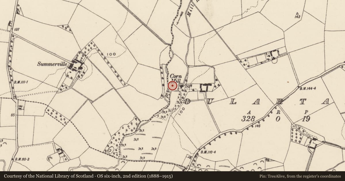 Ordnance Survey six-inch map, 2nd edition (1888–1915) covering the location of Burnt mound, Oulartard, County Wexford, with a pin at the register's coordinates