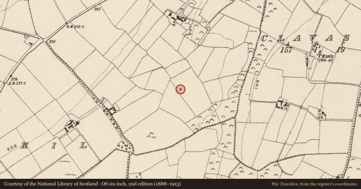 Ordnance Survey six-inch map, 2nd edition (1888–1915) covering the location of Habitation site, Coolnahorna, County Wexford, with a pin at the register's coordinates