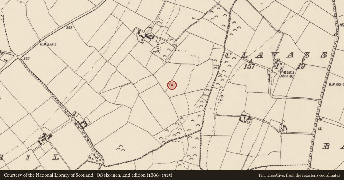 Ordnance Survey six-inch map, 2nd edition (1888–1915) covering the location of Ring-ditch, Coolnahorna, County Wexford, with a pin at the register's coordinates