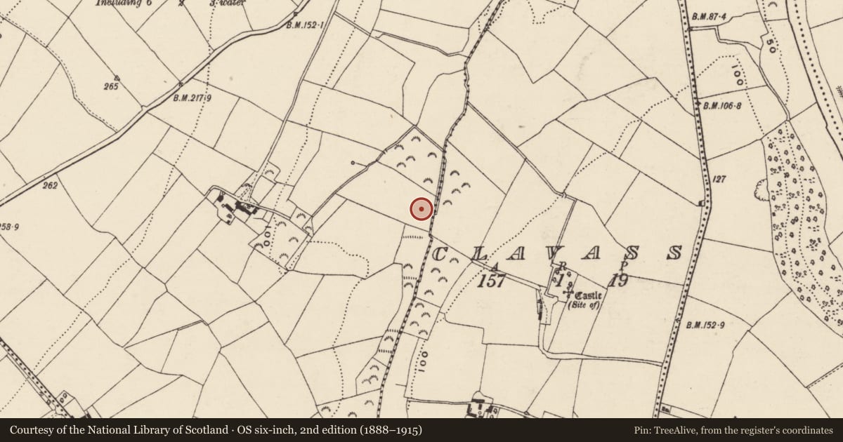 Ordnance Survey six-inch map, 2nd edition (1888–1915) covering the location of Burnt mound, Coolnahorna, County Wexford, with a pin at the register's coordinates