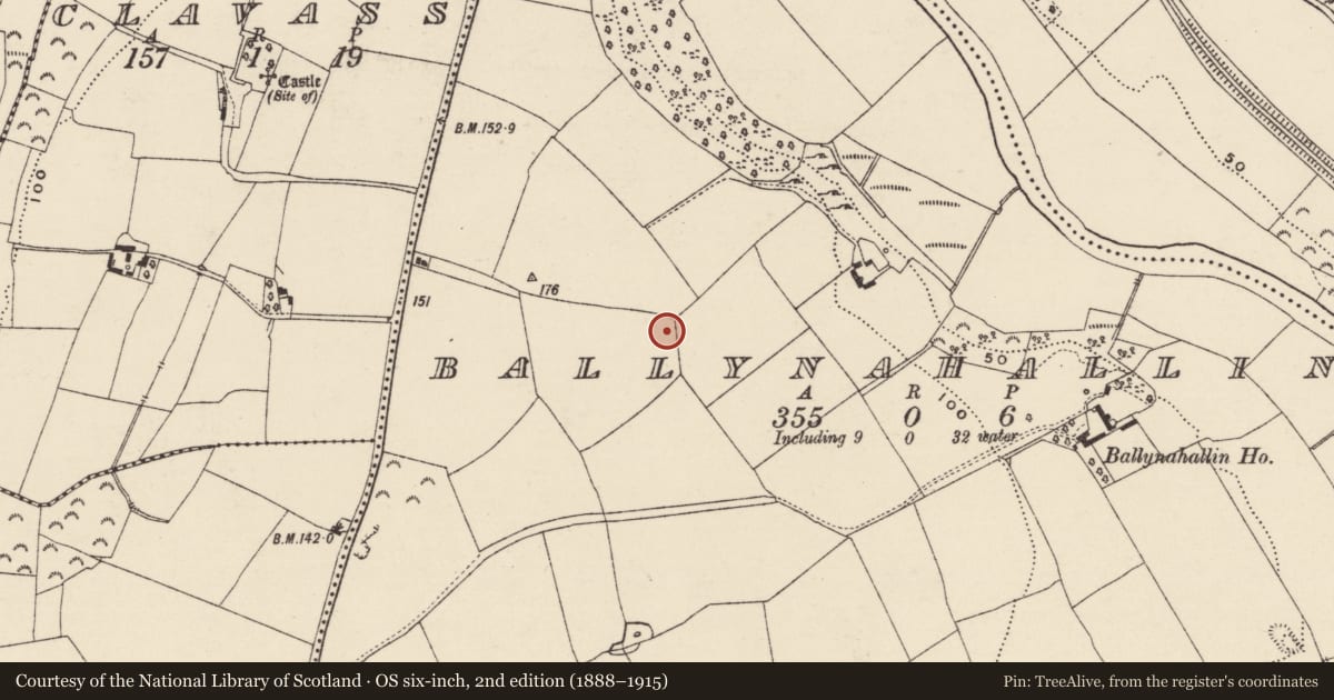Ordnance Survey six-inch map, 2nd edition (1888–1915) covering the location of Fulacht fia, Ballynahallin, County Wexford, with a pin at the register's coordinates