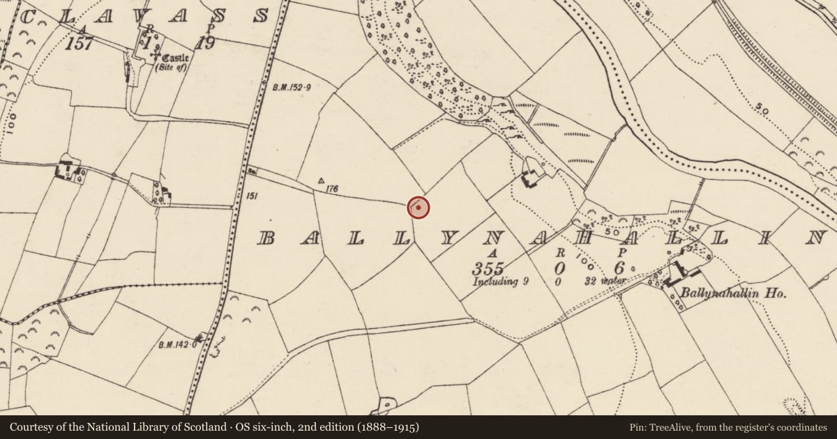 Ordnance Survey six-inch map, 2nd edition (1888–1915) covering the location of Kiln - lime, Ballynahallin, County Wexford, with a pin at the register's coordinates