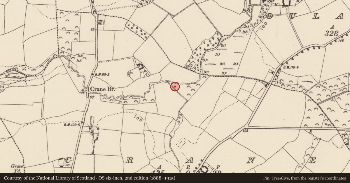 Ordnance Survey six-inch map, 2nd edition (1888–1915) covering the location of Burnt mound, Crane, County Wexford, with a pin at the register's coordinates