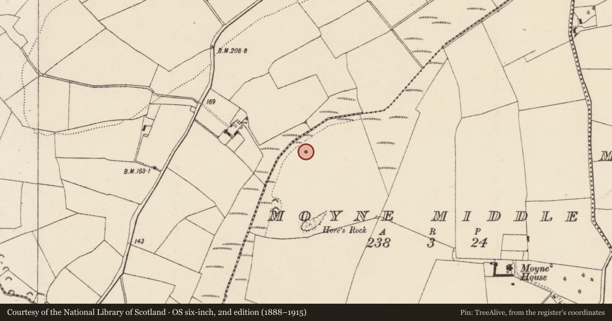Ordnance Survey six-inch map, 2nd edition (1888–1915) covering the location of Burnt mound, Moyne Middle, County Wexford, with a pin at the register's coordinates