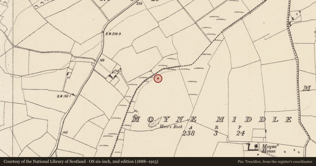 Ordnance Survey six-inch map, 2nd edition (1888–1915) covering the location of Fulacht fia, Moyne Middle, County Wexford, with a pin at the register's coordinates