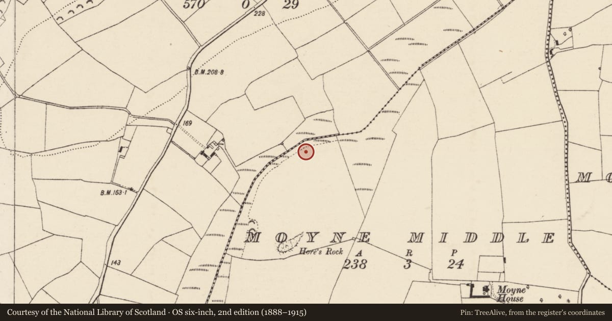 Ordnance Survey six-inch map, 2nd edition (1888–1915) covering the location of Fulacht fia, Moyne Middle, County Wexford, with a pin at the register's coordinates