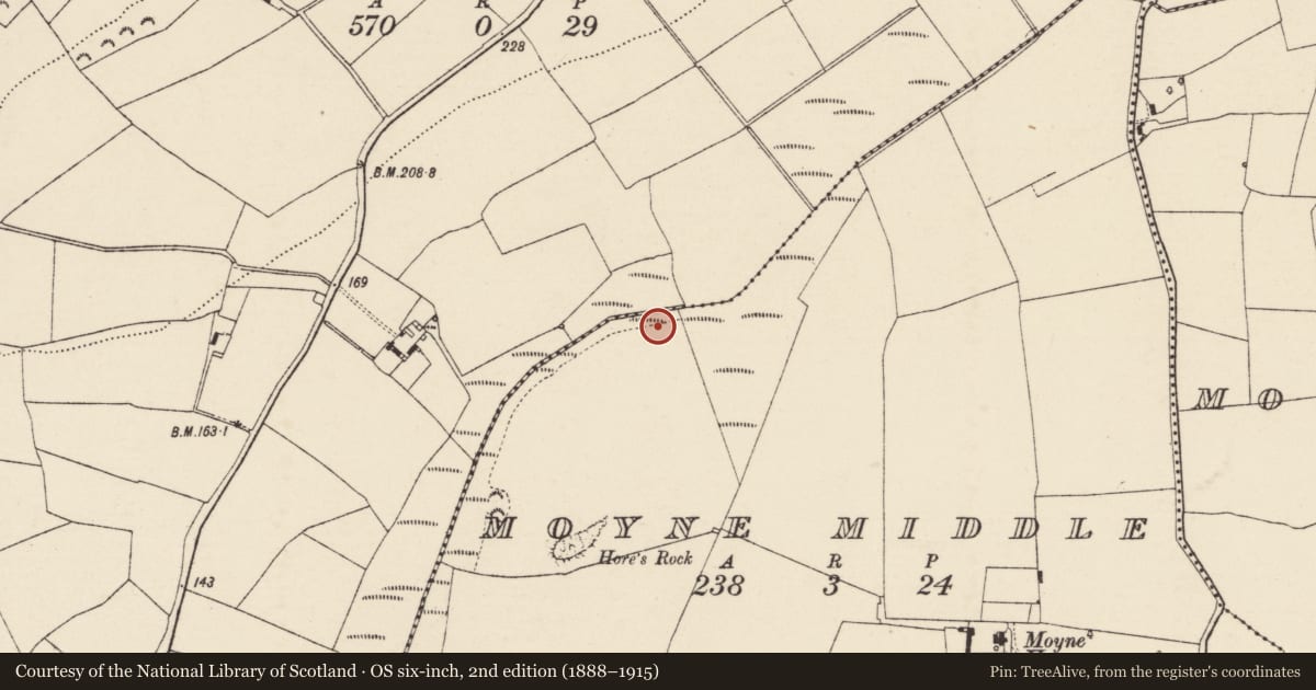 Ordnance Survey six-inch map, 2nd edition (1888–1915) covering the location of Fulacht fia, Moyne Middle, County Wexford, with a pin at the register's coordinates