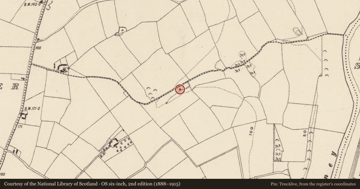 Ordnance Survey six-inch map, 2nd edition (1888–1915) covering the location of Fulacht fia, Kilcannon, County Wexford, with a pin at the register's coordinates