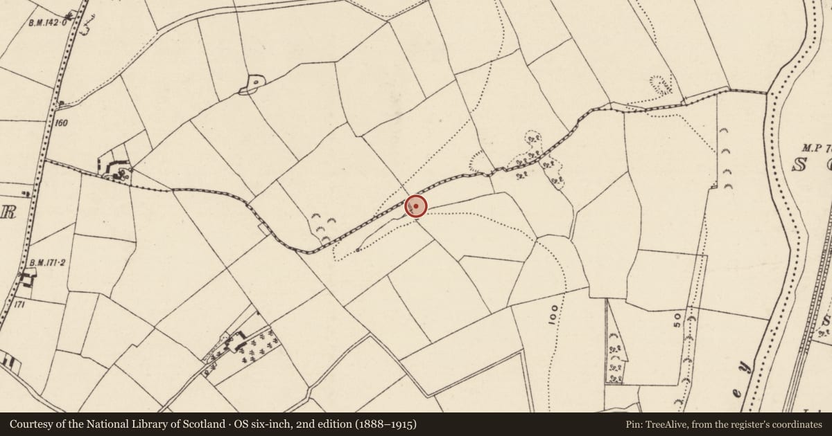Ordnance Survey six-inch map, 2nd edition (1888–1915) covering the location of Fulacht fia, Kilcannon, County Wexford, with a pin at the register's coordinates