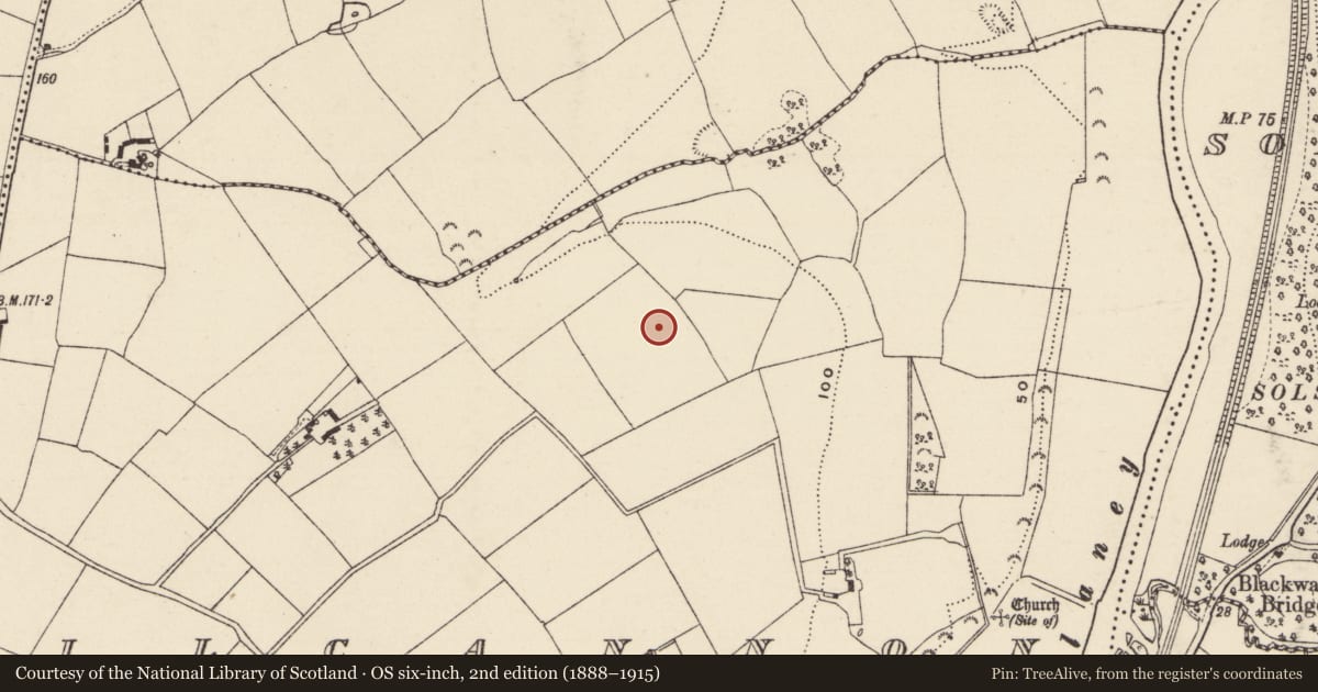 Ordnance Survey six-inch map, 2nd edition (1888–1915) covering the location of Excavation - miscellaneous, Kilcannon, County Wexford, with a pin at the register's coordinates