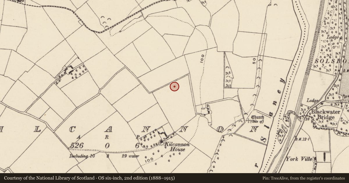 Ordnance Survey six-inch map, 2nd edition (1888–1915) covering the location of Excavation - miscellaneous, Kilcannon, County Wexford, with a pin at the register's coordinates