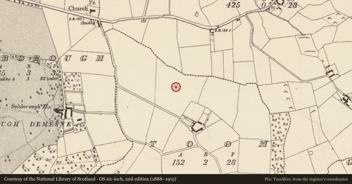 Ordnance Survey six-inch map, 2nd edition (1888–1915) covering the location of Excavation - miscellaneous, Toom, County Wexford, with a pin at the register's coordinates