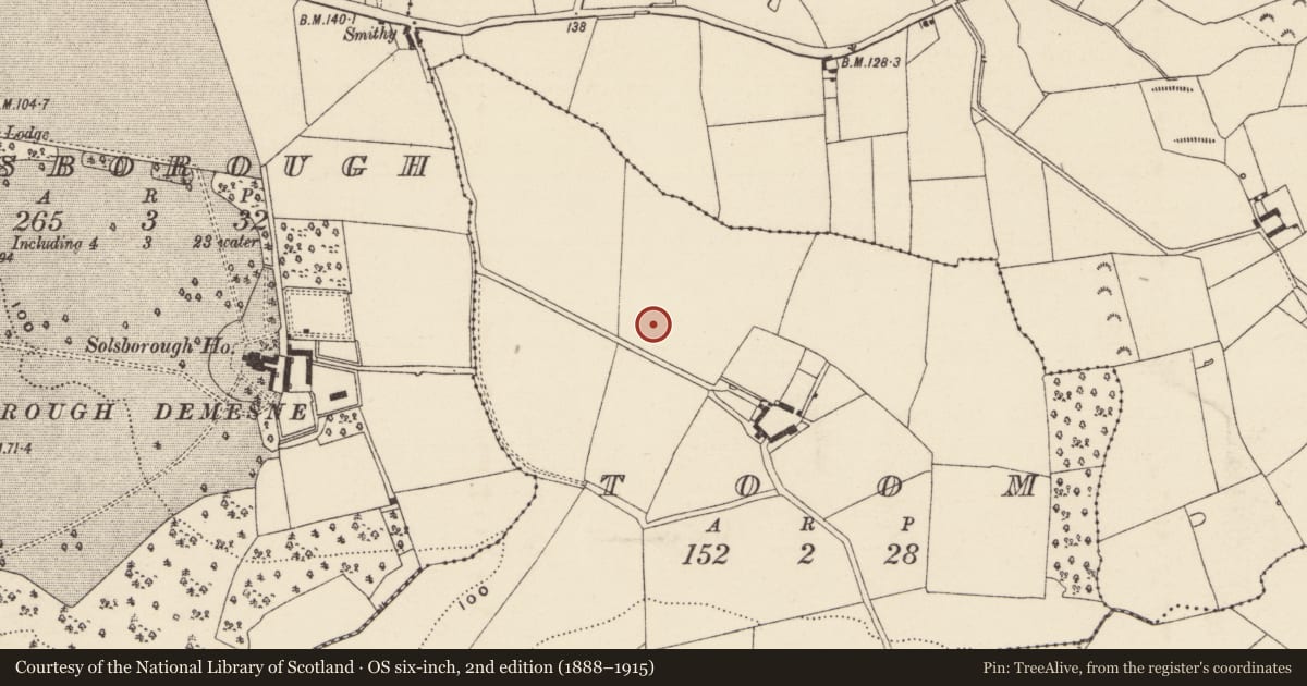 Ordnance Survey six-inch map, 2nd edition (1888–1915) covering the location of Excavation - miscellaneous, Toom, County Wexford, with a pin at the register's coordinates
