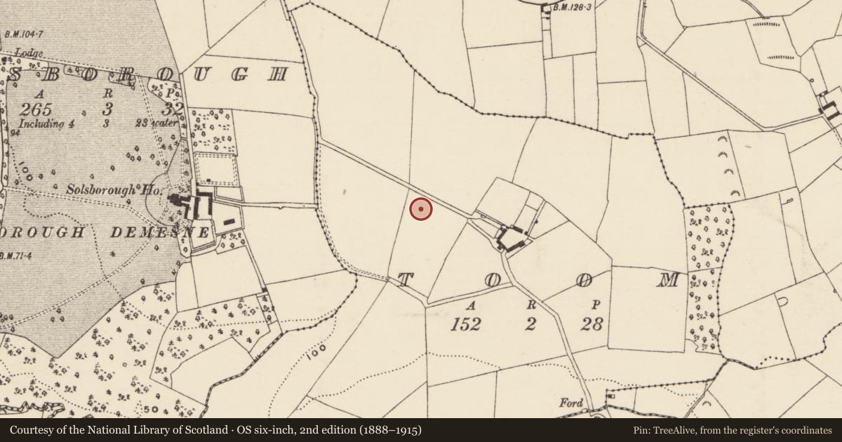 Ordnance Survey six-inch map, 2nd edition (1888–1915) covering the location of Excavation - miscellaneous, Toom, County Wexford, with a pin at the register's coordinates