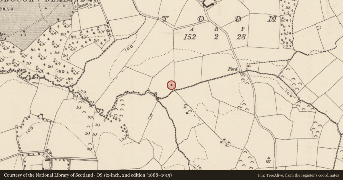 Ordnance Survey six-inch map, 2nd edition (1888–1915) covering the location of Fulacht fia, Toom, County Wexford, with a pin at the register's coordinates
