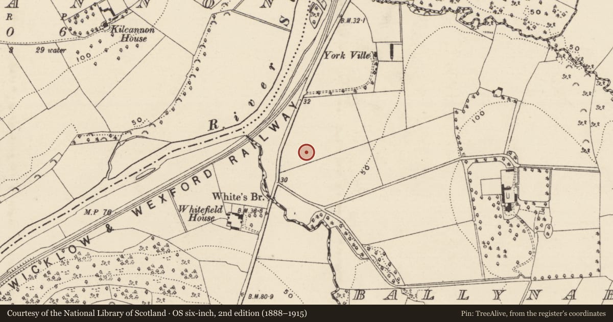 Ordnance Survey six-inch map, 2nd edition (1888–1915) covering the location of Excavation - miscellaneous, Ballynabarny, County Wexford, with a pin at the register's coordinates