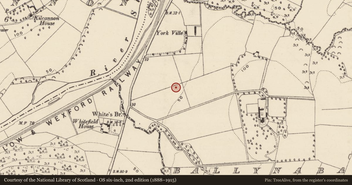 Ordnance Survey six-inch map, 2nd edition (1888–1915) covering the location of Excavation - miscellaneous, Ballynabarny, County Wexford, with a pin at the register's coordinates