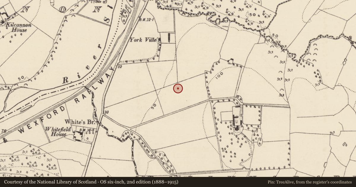 Ordnance Survey six-inch map, 2nd edition (1888–1915) covering the location of Excavation - miscellaneous, Ballynabarny, County Wexford, with a pin at the register's coordinates
