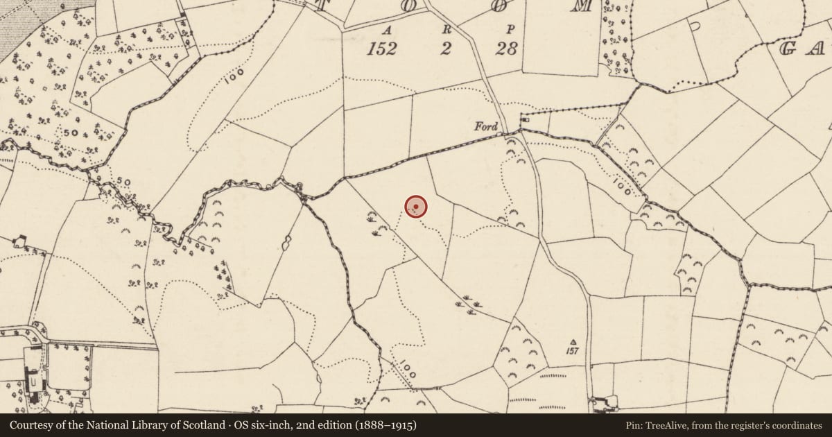 Ordnance Survey six-inch map, 2nd edition (1888–1915) covering the location of Hearth, Ballydawmore, County Wexford, with a pin at the register's coordinates