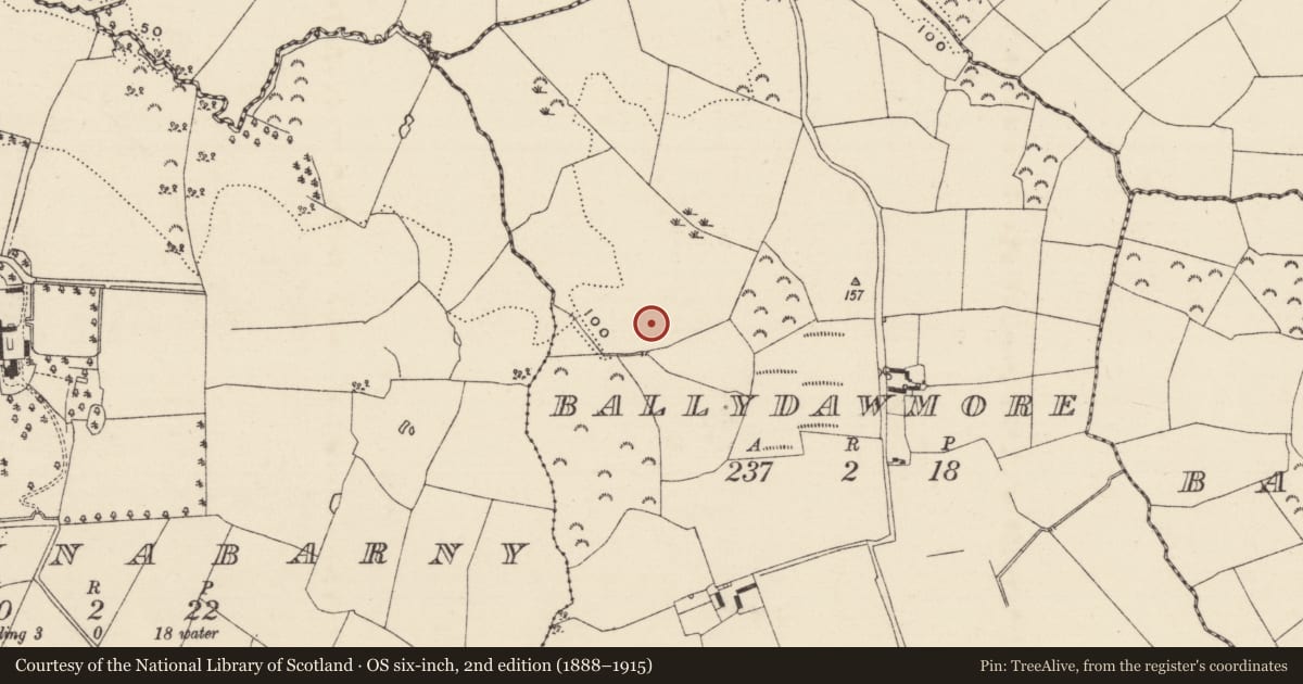Ordnance Survey six-inch map, 2nd edition (1888–1915) covering the location of Excavation - miscellaneous, Ballydawmore, County Wexford, with a pin at the register's coordinates