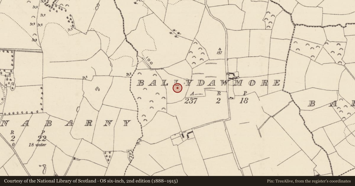 Ordnance Survey six-inch map, 2nd edition (1888–1915) covering the location of Cairn - burial cairn, Ballydawmore, County Wexford, with a pin at the register's coordinates