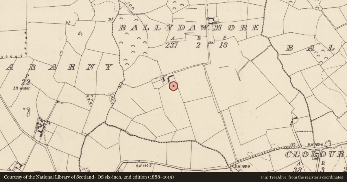 Ordnance Survey six-inch map, 2nd edition (1888–1915) covering the location of Excavation - miscellaneous, Ballydawmore, County Wexford, with a pin at the register's coordinates