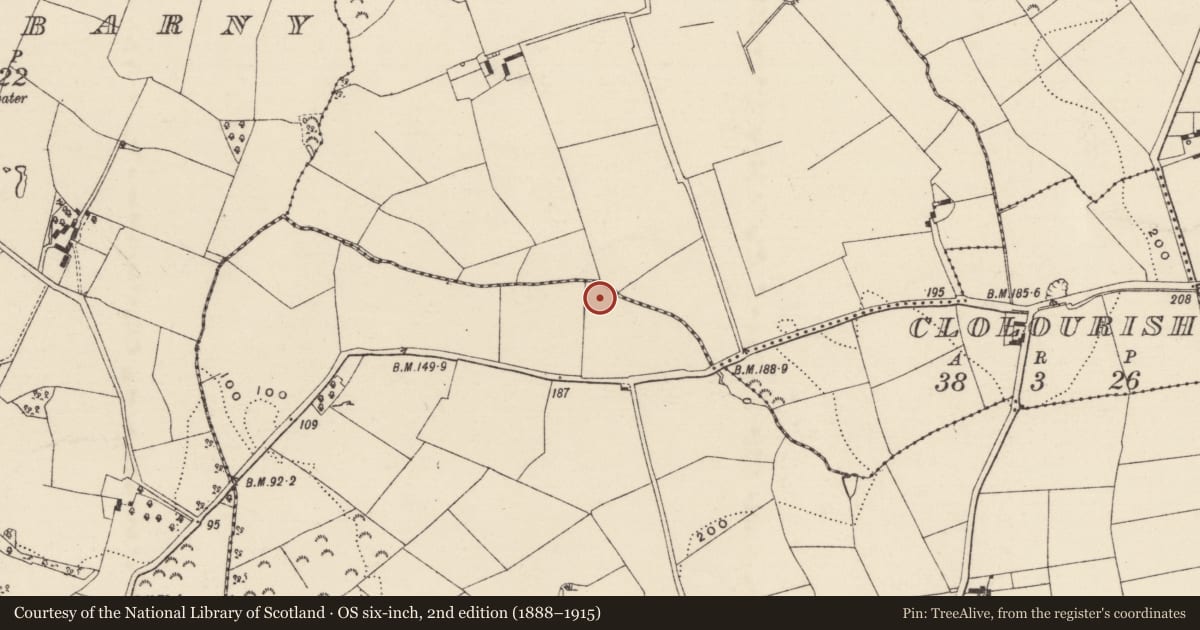 Ordnance Survey six-inch map, 2nd edition (1888–1915) covering the location of Excavation - miscellaneous, Corbally, County Wexford, with a pin at the register's coordinates