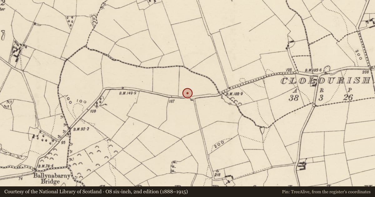 Ordnance Survey six-inch map, 2nd edition (1888–1915) covering the location of Excavation - miscellaneous, Corbally, County Wexford, with a pin at the register's coordinates