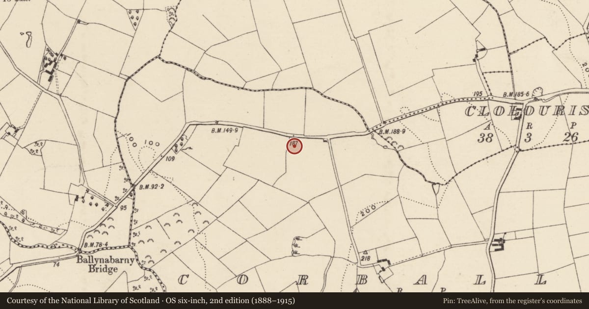 Ordnance Survey six-inch map, 2nd edition (1888–1915) covering the location of Kiln - corn-drying, Corbally, County Wexford, with a pin at the register's coordinates