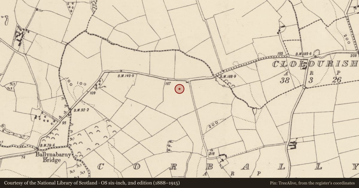 Ordnance Survey six-inch map, 2nd edition (1888–1915) covering the location of Enclosure, Corbally, County Wexford, with a pin at the register's coordinates