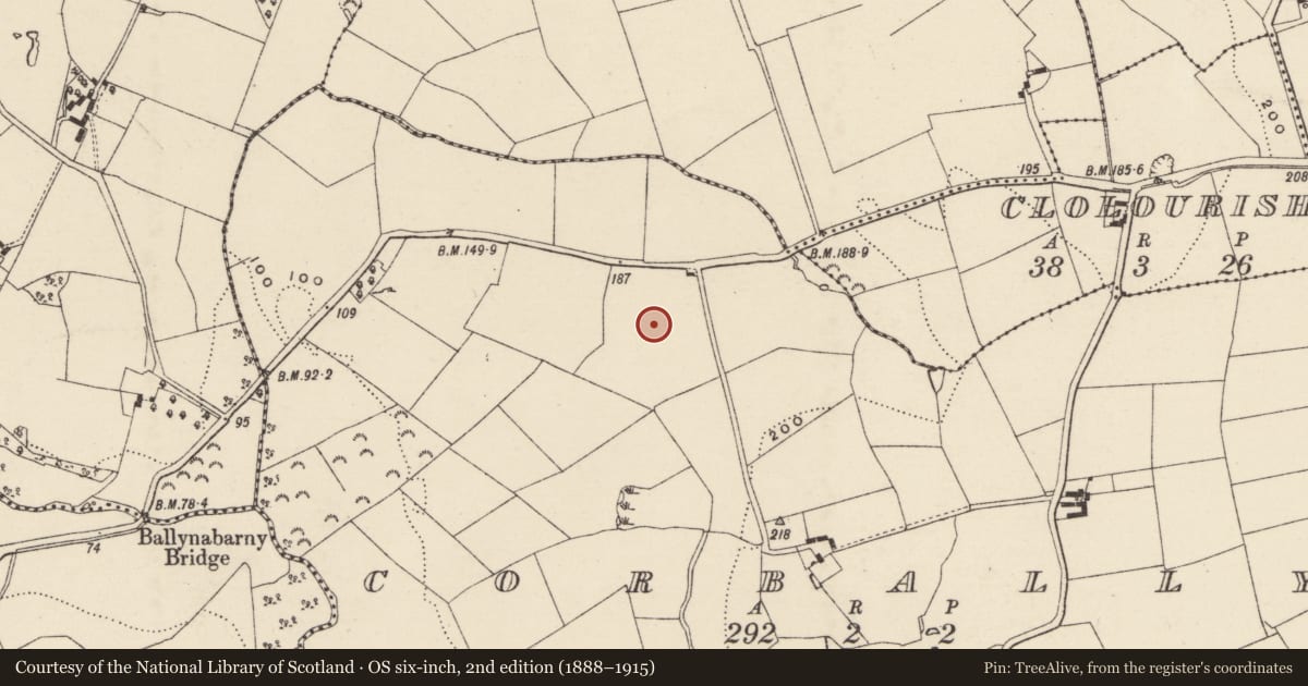 Ordnance Survey six-inch map, 2nd edition (1888–1915) covering the location of Kiln - corn-drying, Corbally, County Wexford, with a pin at the register's coordinates