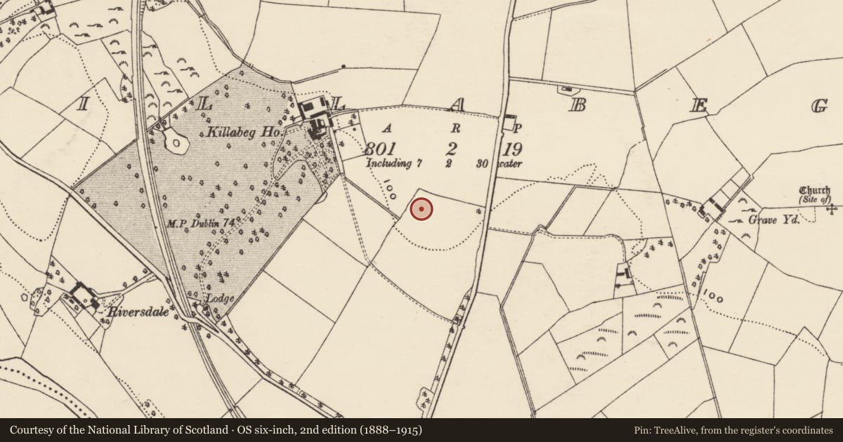 Ordnance Survey six-inch map, 2nd edition (1888–1915) covering the location of Ring-ditch, Killabeg, County Wexford, with a pin at the register's coordinates